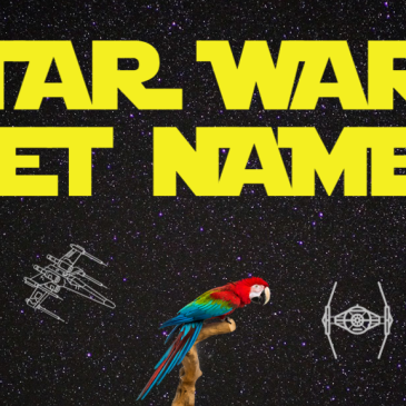 Star Wars Pet Names