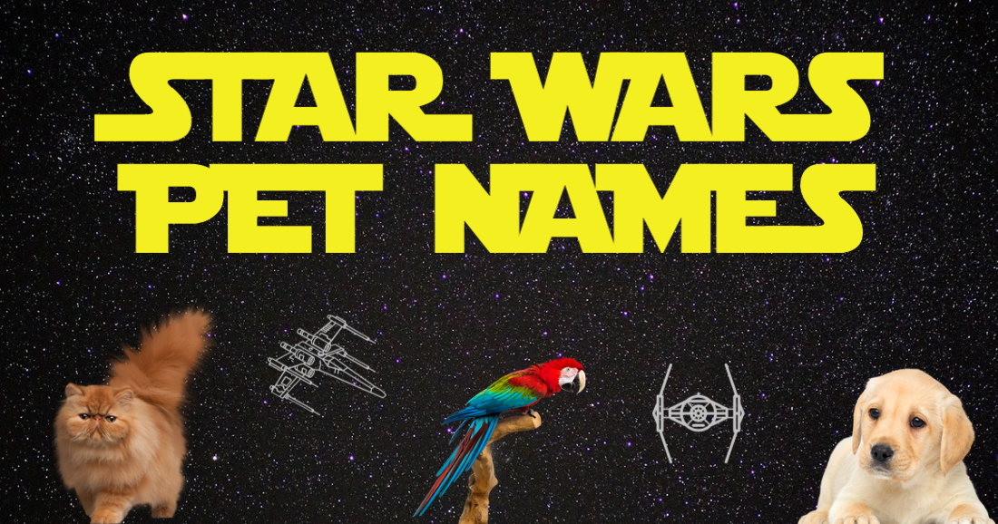 Star Wars Pet Names
