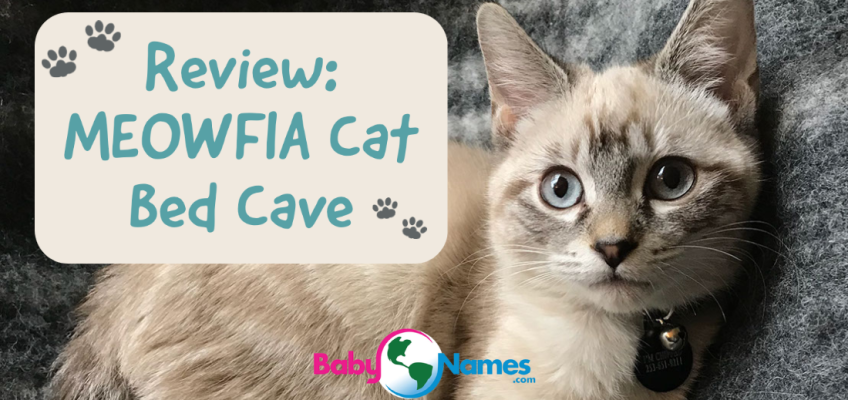 Review: MOWFIA Cat Bed Cave
