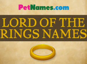 Lord of the Rings Names for Pets
