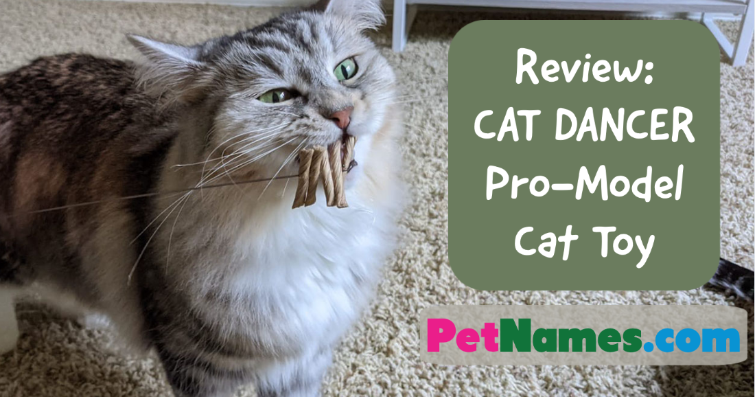 Review: CAT DANCER Pro-Model Cat Toy