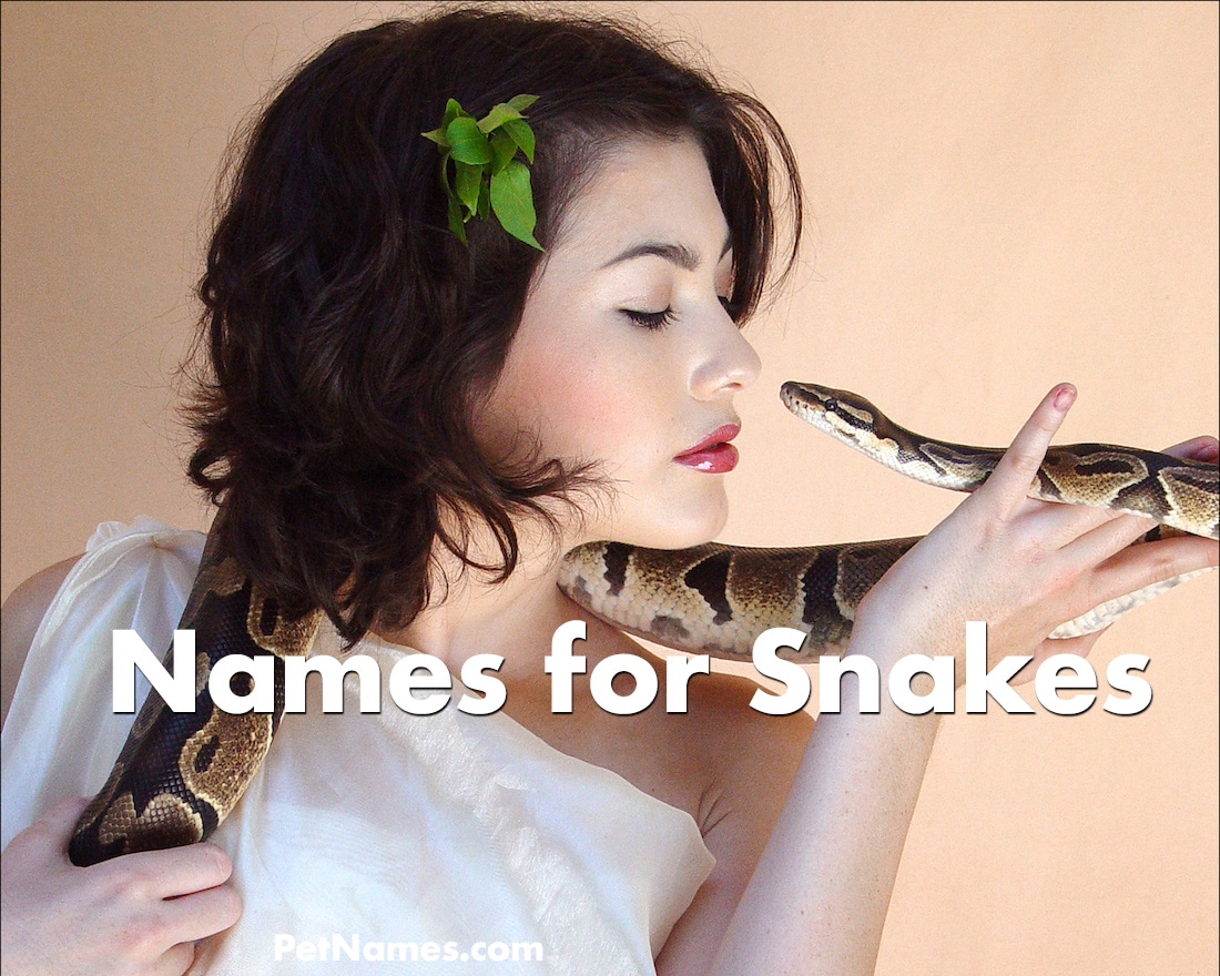 Woman holding a snake and looking into its eyes - Names for Snakes