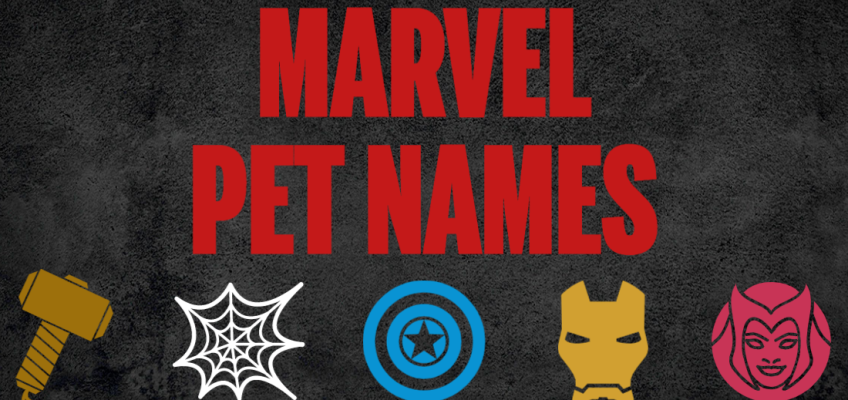A title image that says Marvel Pet Names and has superhero icons.