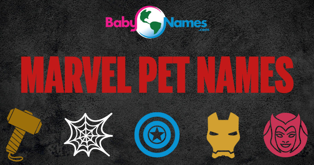 A title image that says Marvel Pet Names and has superhero icons.