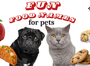 From Apples to Zucchini: Fun Food Names for Pets