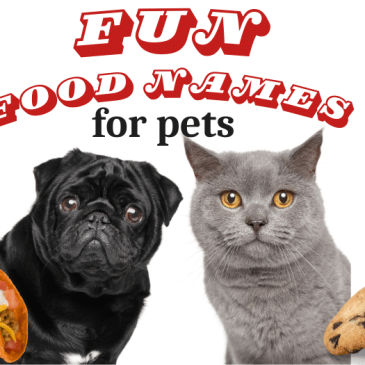 Fun Food Names for Pets
