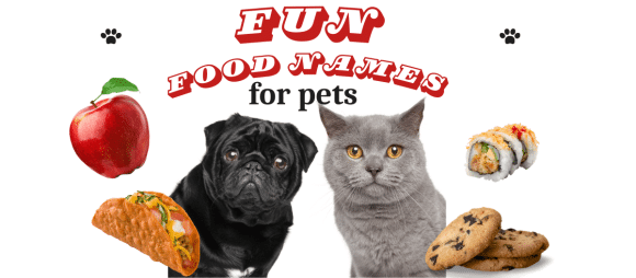 Fun Food Names for Pets