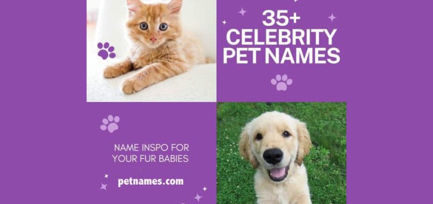 35+ Celebrity Pet Names